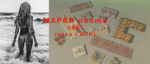 индика Беломорск