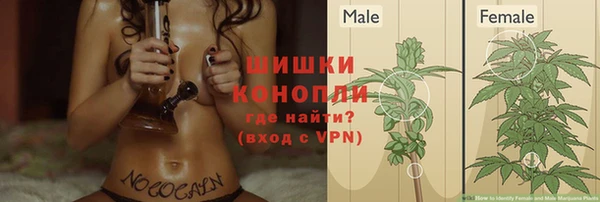 индика Беломорск