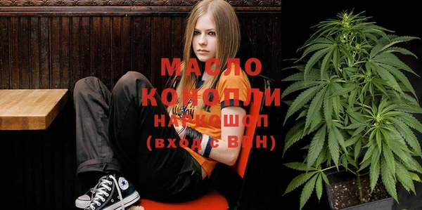 индика Беломорск