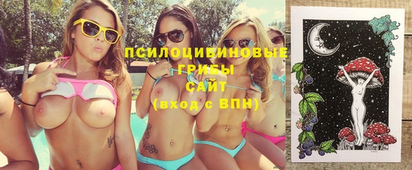 эйфоретик Белокуриха