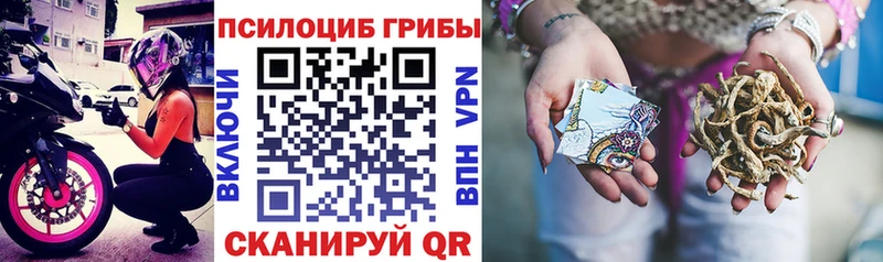 Псилоцибиновые грибы Magic Shrooms  что такое   Печора 
